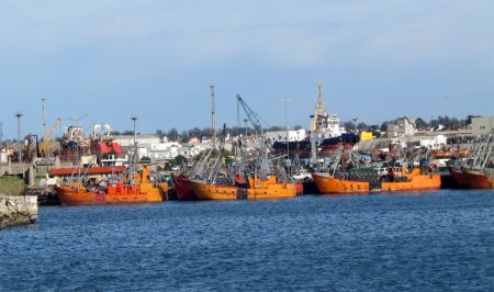 Malestar en la flota costera: advierten sobre demoras para prospectar corvina mientras que la flota uruguaya pesca