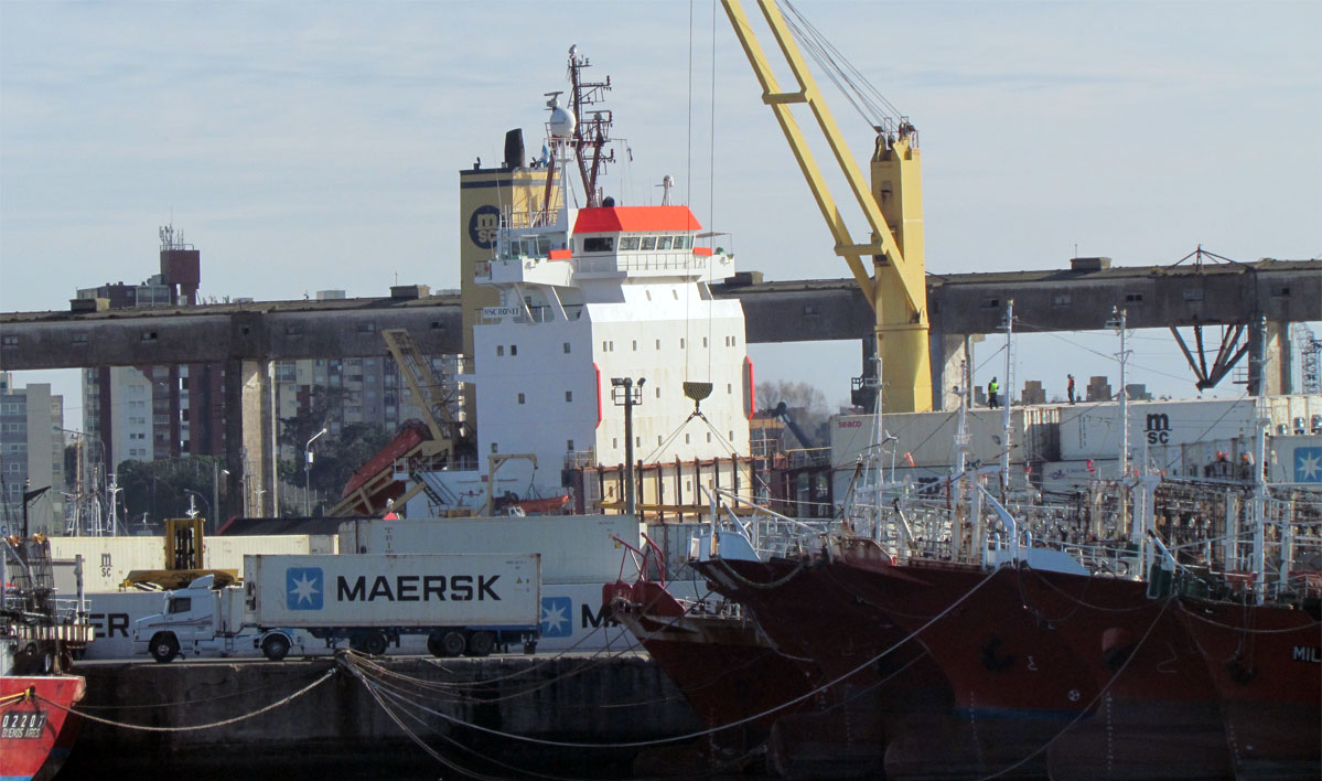 El Gobierno oficializó la baja de reintegros a las exportaciones