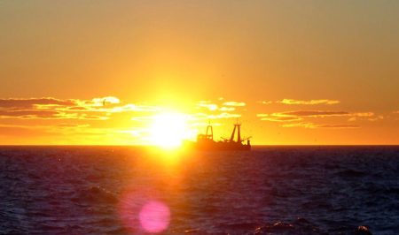 Resultados dispares dejan las prospecciones de langostino