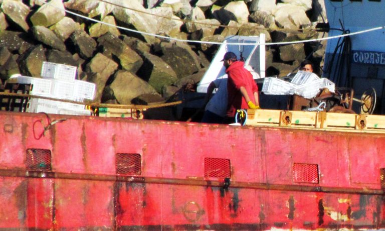 Langostino: no hubo acuerdo entre el Siconara y los armadores