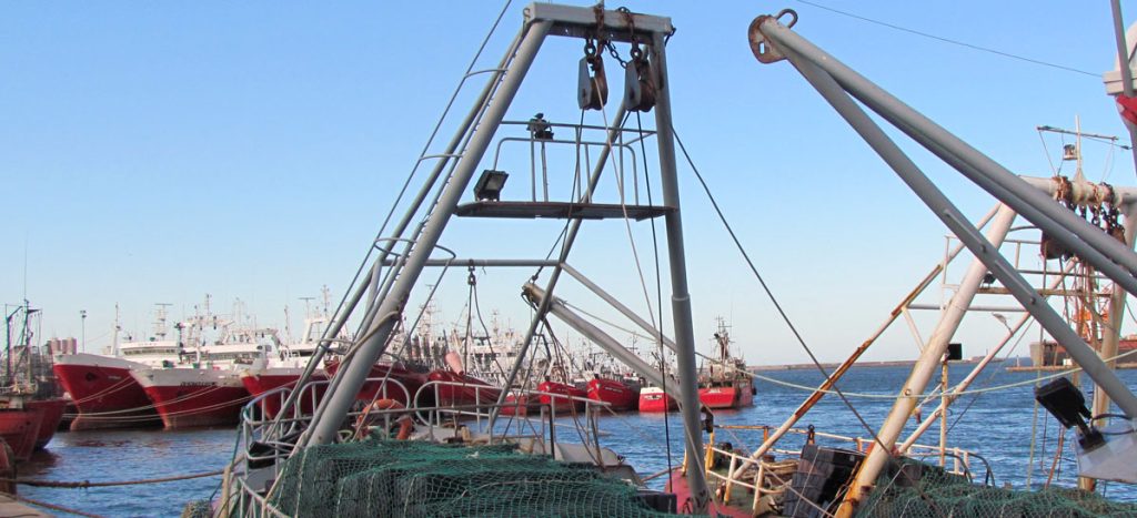 Guillermo Montenegro con el sector pesquero marplatense, dio detalles de la reunión celebrada con Guillermo Francos