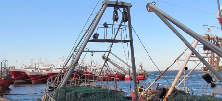 Redistribuci贸n de merluza hubbsi: una inc贸gnita sin resolver y un sector en vilo