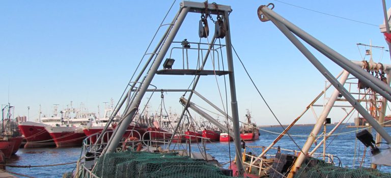 Redistribuci贸n de merluza hubbsi: una inc贸gnita sin resolver y un sector en vilo