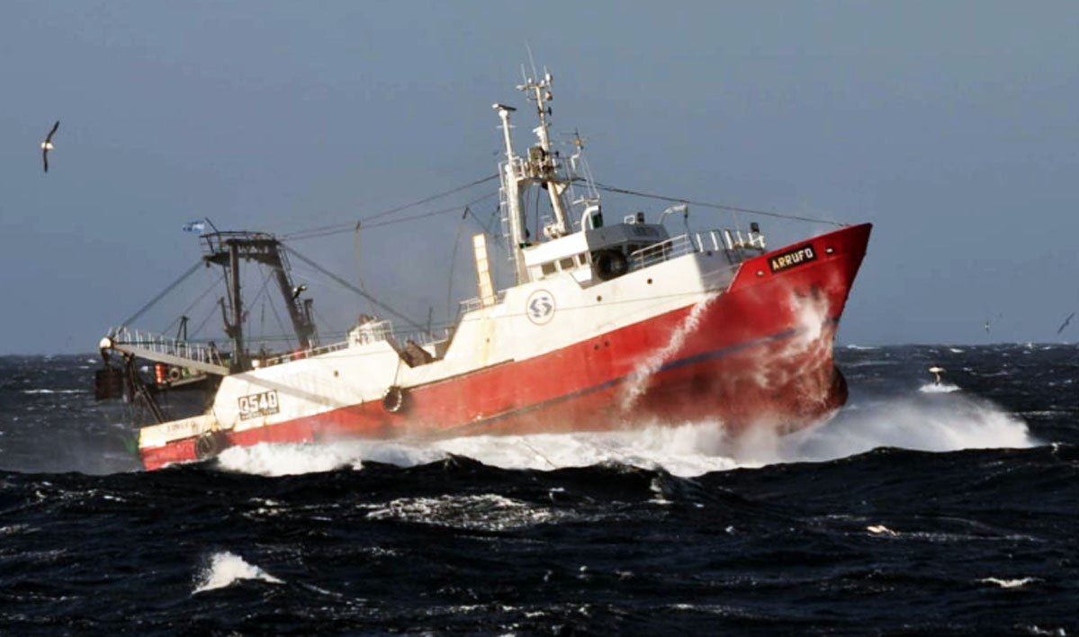 Algunos buques ya operan sobre langostino en aguas nacionales