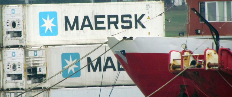Cómo se distribuyen las exportaciones pesqueras