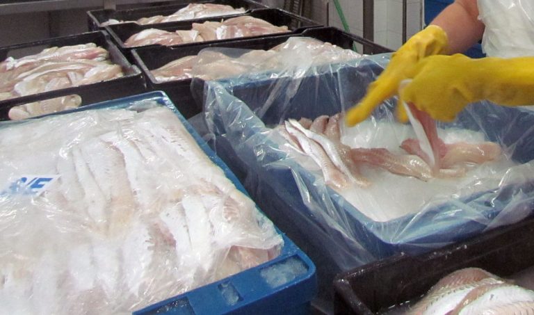 “El nuevo régimen de reintegros es un retroceso para la promoción de la pymeâ€