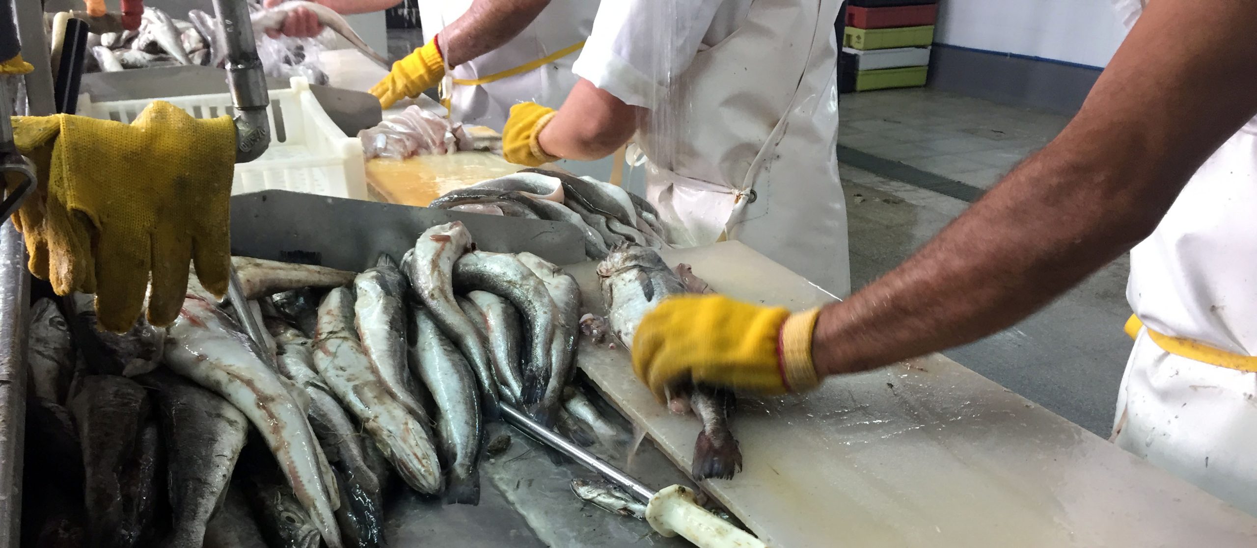 Cafrexport le planteó al Consejo la búsqueda de equilibrios