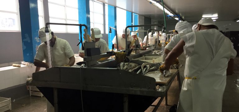 Cafrexport: “Será muy difícil poder asumir los compromisos salariales”