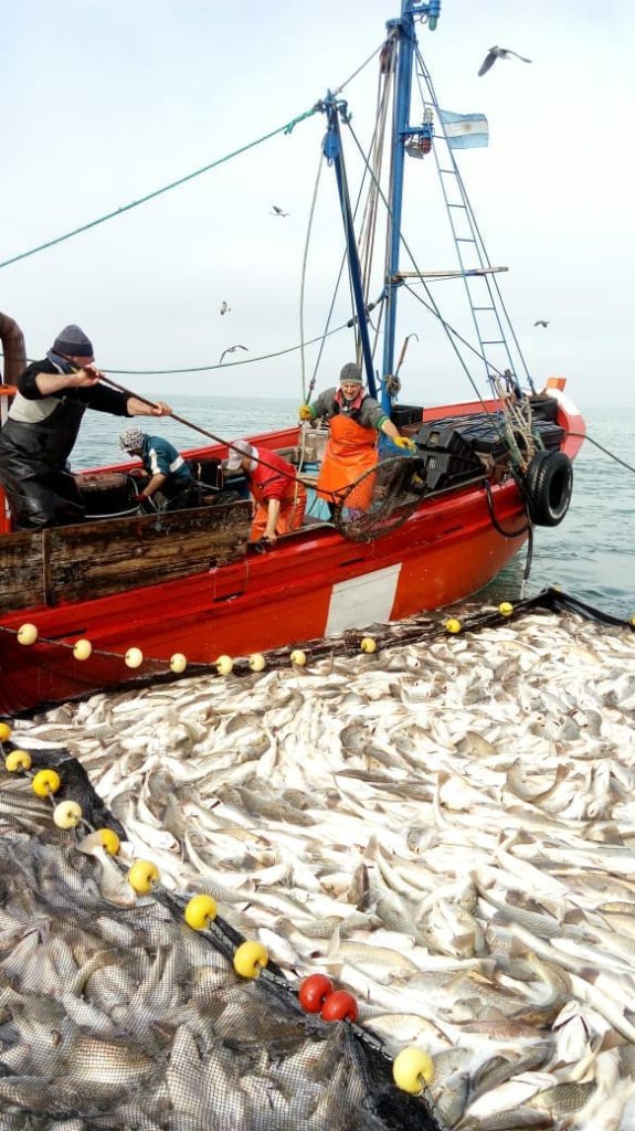 Gral.Lavalle esgrime localía en la pesca de Corvina