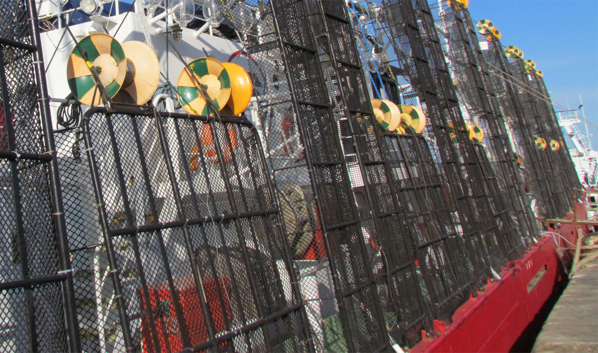 El Somu anuncia retención de tareas en la flota potera