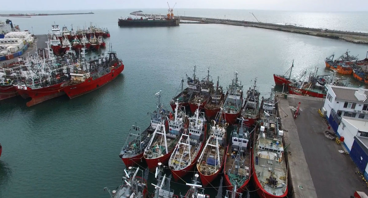 La merma de la actividad sobre merluza lleva a repensar el sentido de las paradas biológicas