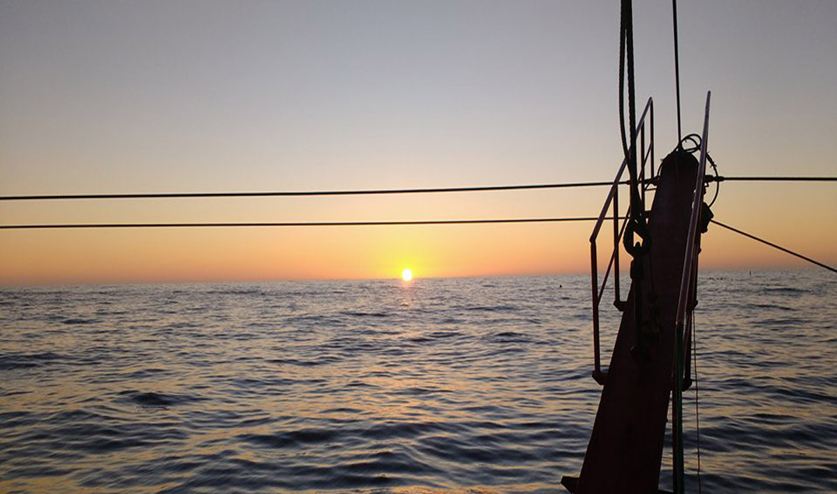 La temporada de langostino en aguas nacionales finalizará el 15 de octubre