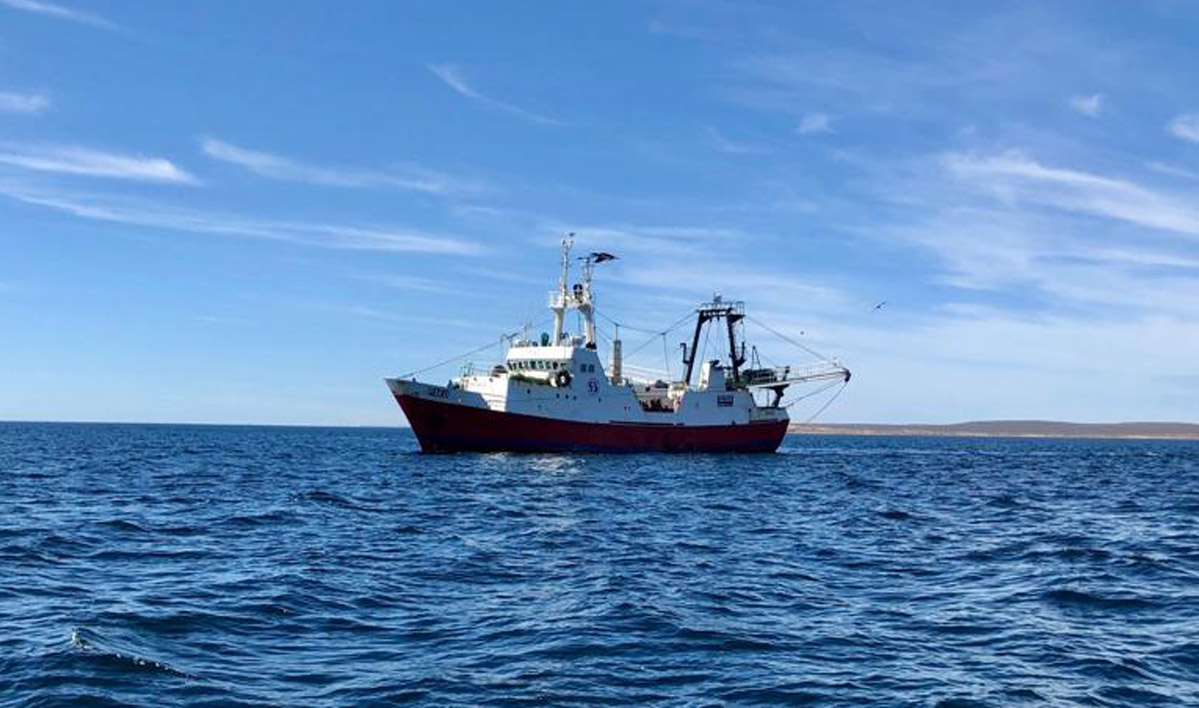 Hacia el cierre de langostino, el 31 de octubre clausuran los despachos