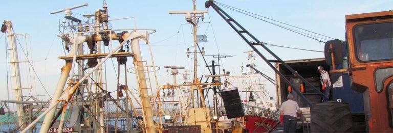 Se acentúan los desembarques de merluza, pero el acumulado cae un 10 por ciento