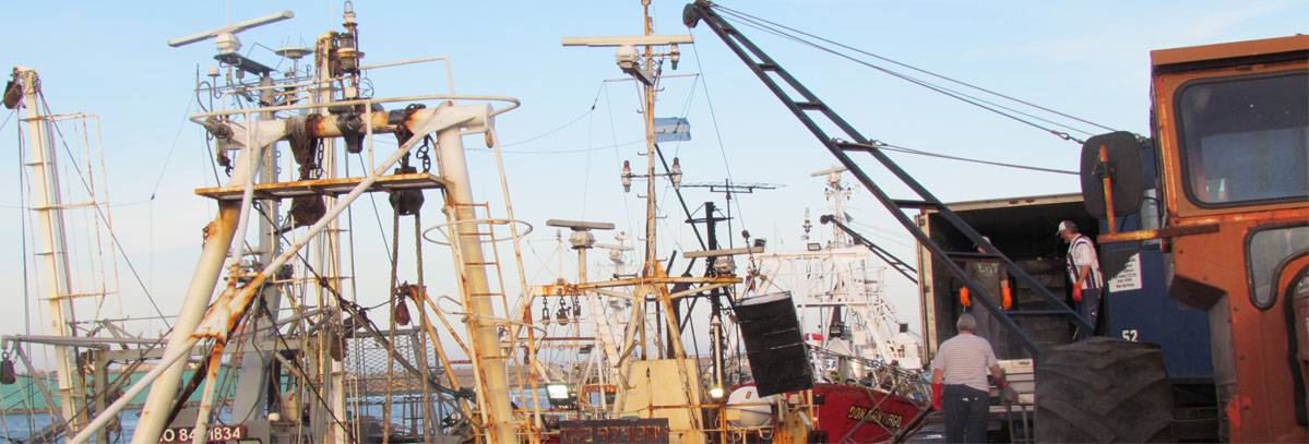 Se acent煤an los desembarques de merluza, pero el acumulado cae un 10 por ciento