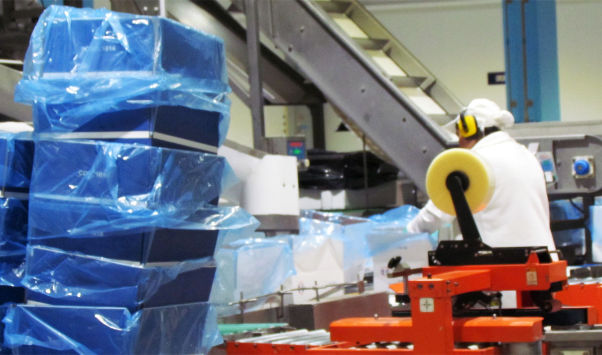 Se derrumbaron las exportaciones pesqueras durante enero