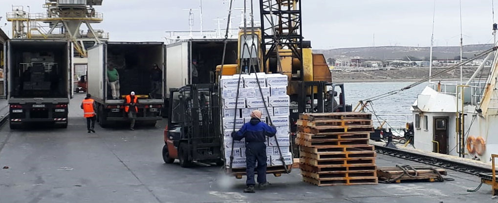 Los desembarques de langostino cruzaron la línea de las 212 mil toneladas