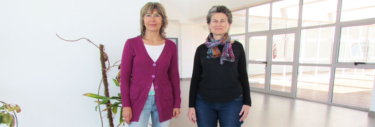 Cómo impacta el cambio climático en las pesquerías argentinas