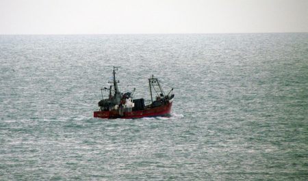 Establecen la captura máxima de merluza 2019