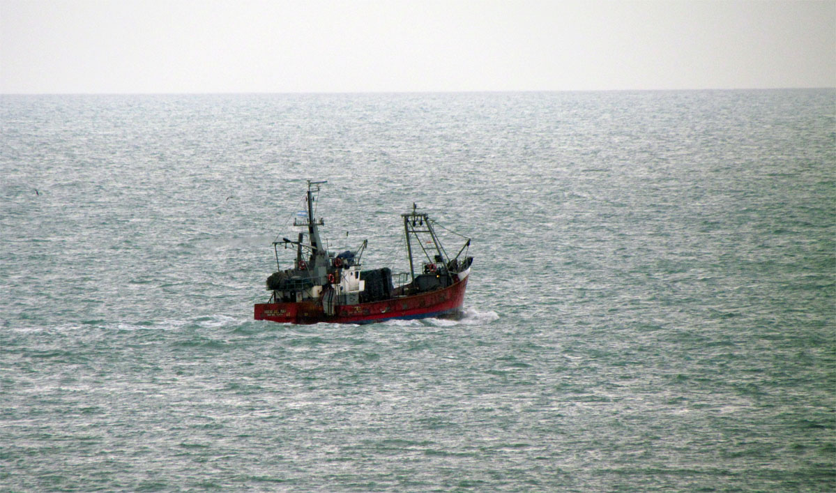 Establecen la captura máxima de merluza 2019