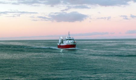 Buenas capturas de langostino en aguas nacionales