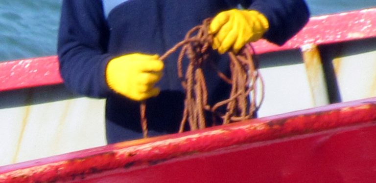 Cámaras y gremios marÃtimos acuerdan nueva recomposición salarial