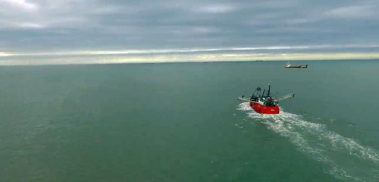 Primeros datos oficiales de la temporada de langostino en aguas nacionales