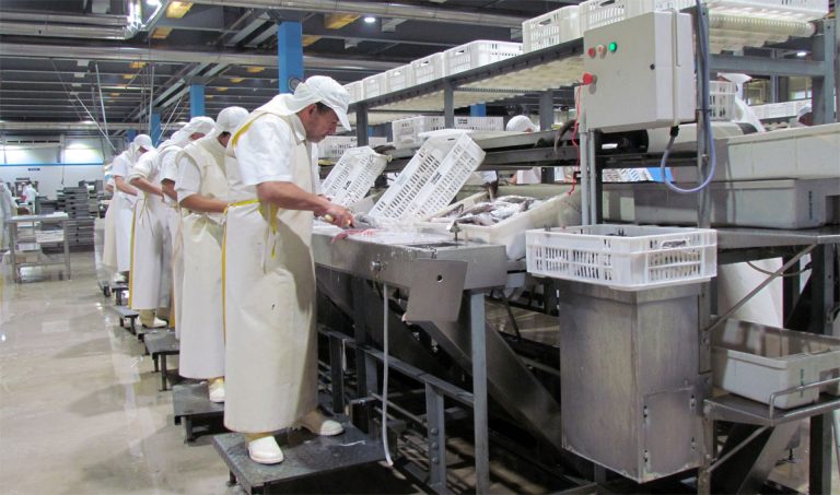 Senasa implementa el sistema digital “Pescaâ€