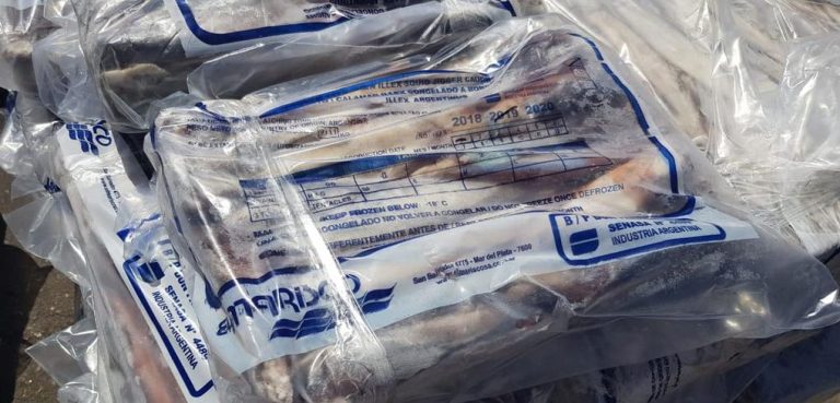 Calamar: el primer mes de la temporada dej贸 24.700 toneladas