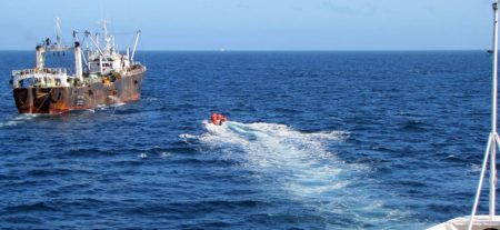 El armador del «Oyang 77†pagó 600 mil dólares para liberar al buque infractor