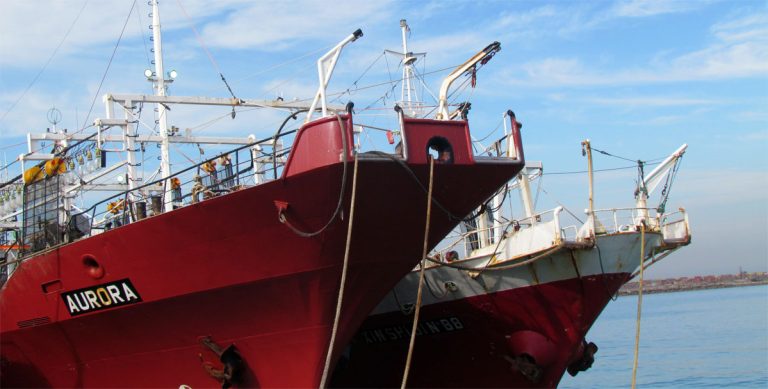 Las capturas de calamar no repuntan y se espera por la apertura del área norte