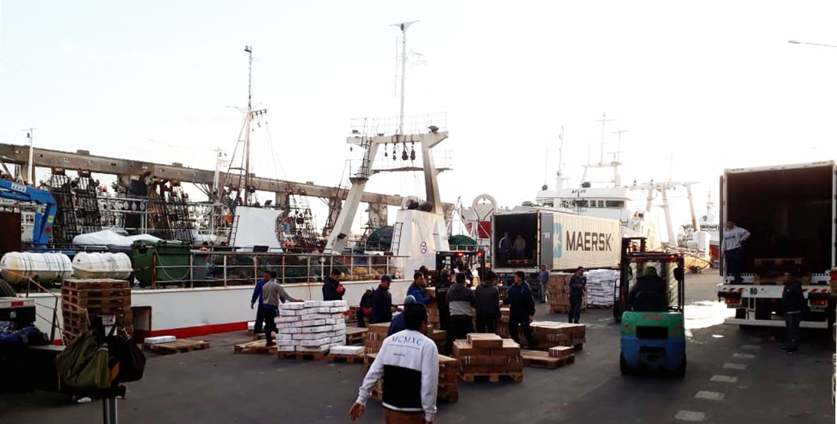 La temporada de langostino 2020 podría ser similar a la del año pasado