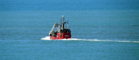 Primeros dÃas del año, actividades en los muelles