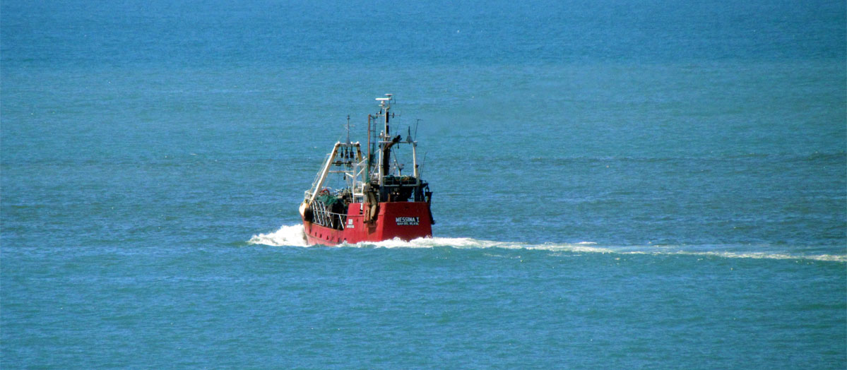 Primeros días del año, actividades en los muelles