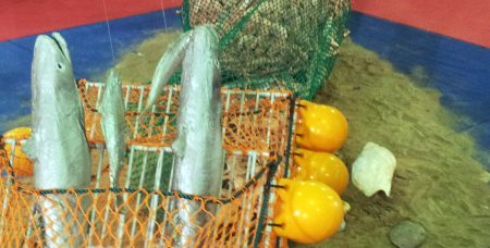 Langostino: dispositivos de selectividad nuevamente en la mira de las autoridades