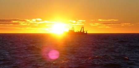 Prospección XL para el langostino