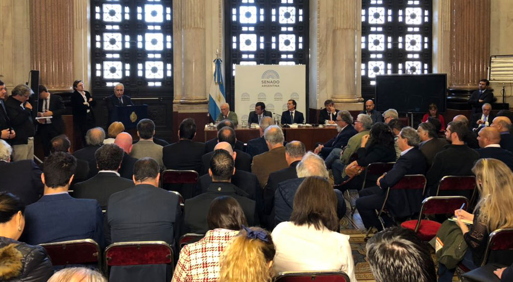 Renovación de flota: “El decreto sigue siendo superador del proyecto de ley unificado de Solanas y Luenzo”