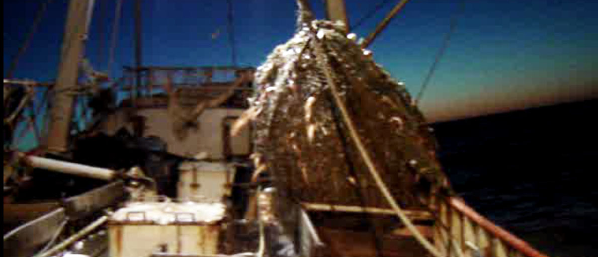 Vence el plazo para poner a disposición cuota de merluza que no será pescada