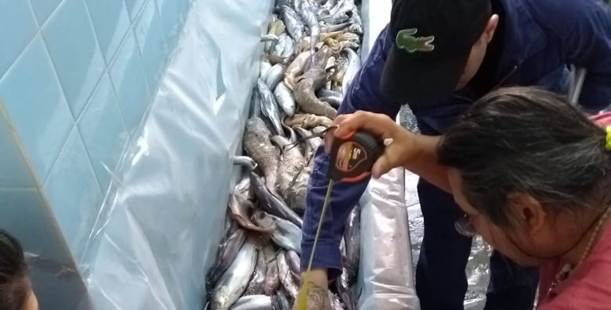 Chubut. Capacitan a nuevos observadores e inspectores de pesca