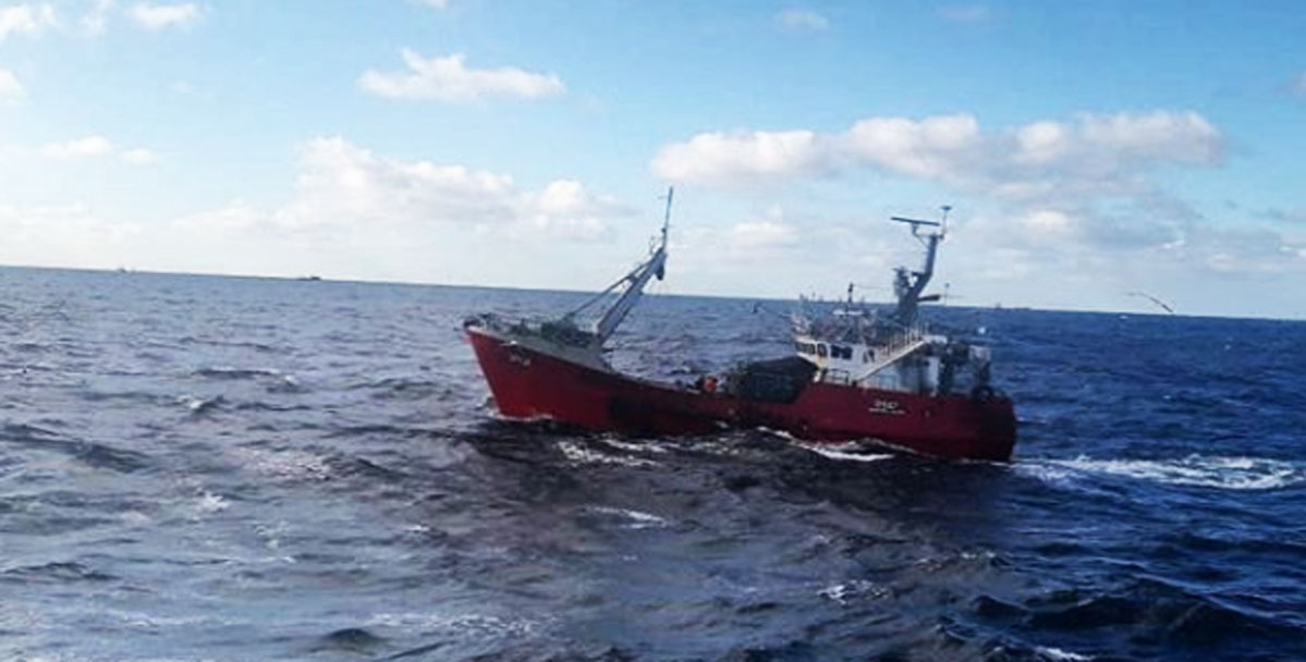 Los desembarques de langostino superan las 70 mil toneladas