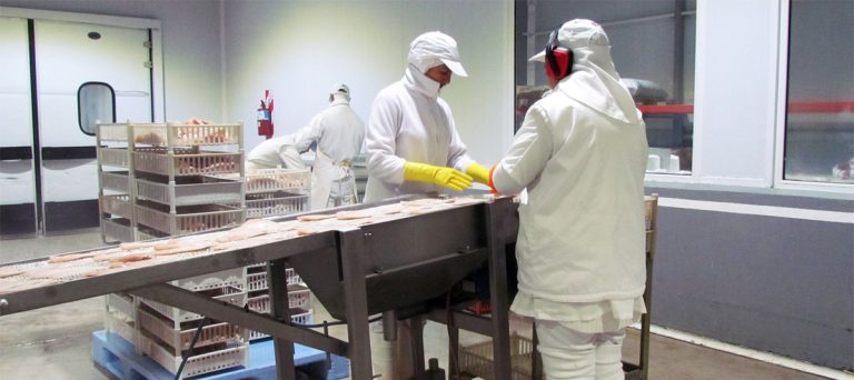 El sector exhibe su trabajo y potencial en un video institucional