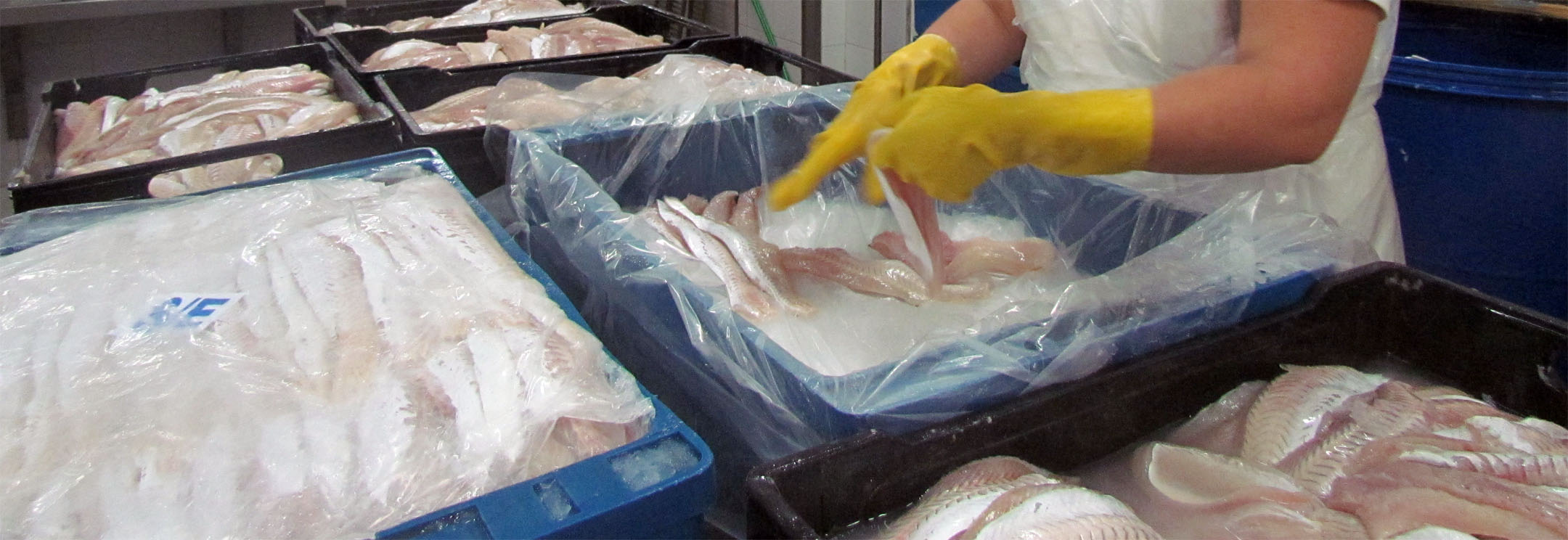 Cafrexport: “Estamos en un escenario complejo y de profunda incertidumbre”