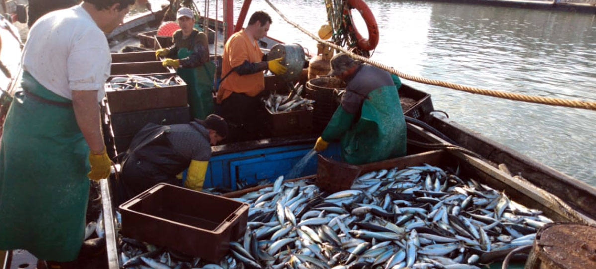 Las lanchas se suman a la temporada de caballa