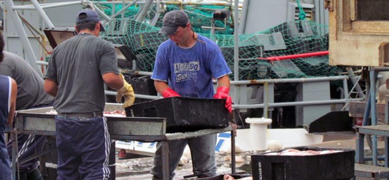 Estabilidad global en los desembarques