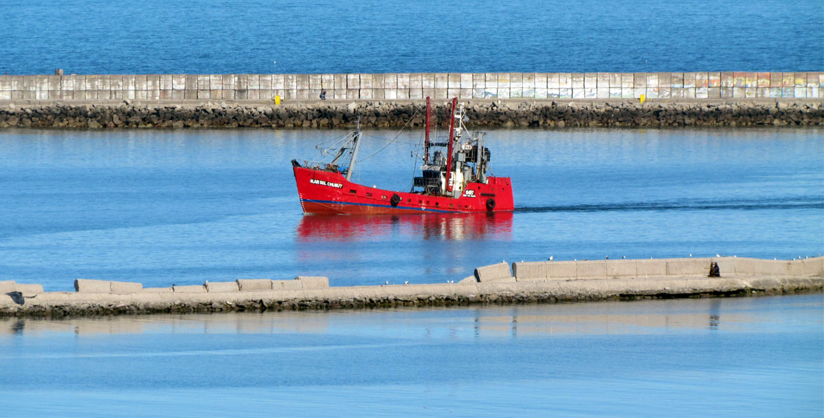 El sector pesquero afianza el liderazgo de la recuperación económica