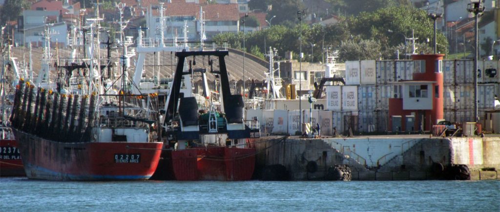 La temporada de calamar comenzar谩 el 16 de enero