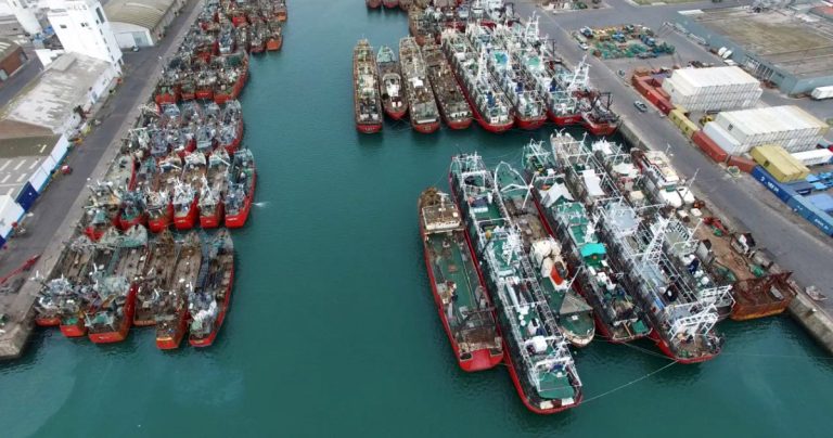 Cuál fue el desempeño de cada segmento de flota