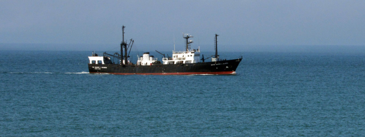 El Inidep inicia campaña global sobre especies costeras