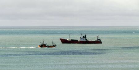 Baja en los desembarques y las exportaciones