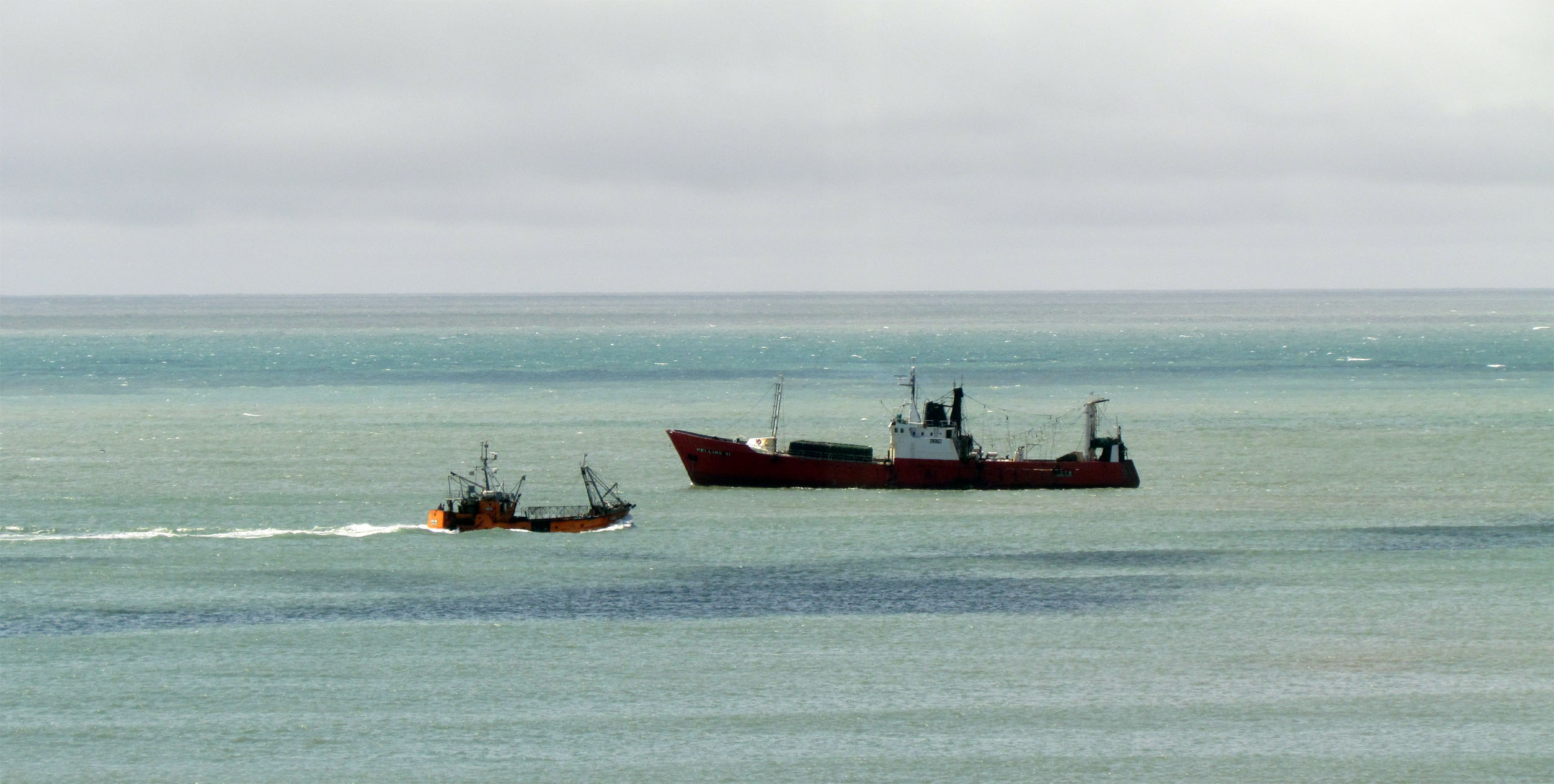 Baja en los desembarques y las exportaciones